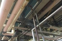 IMG_2314